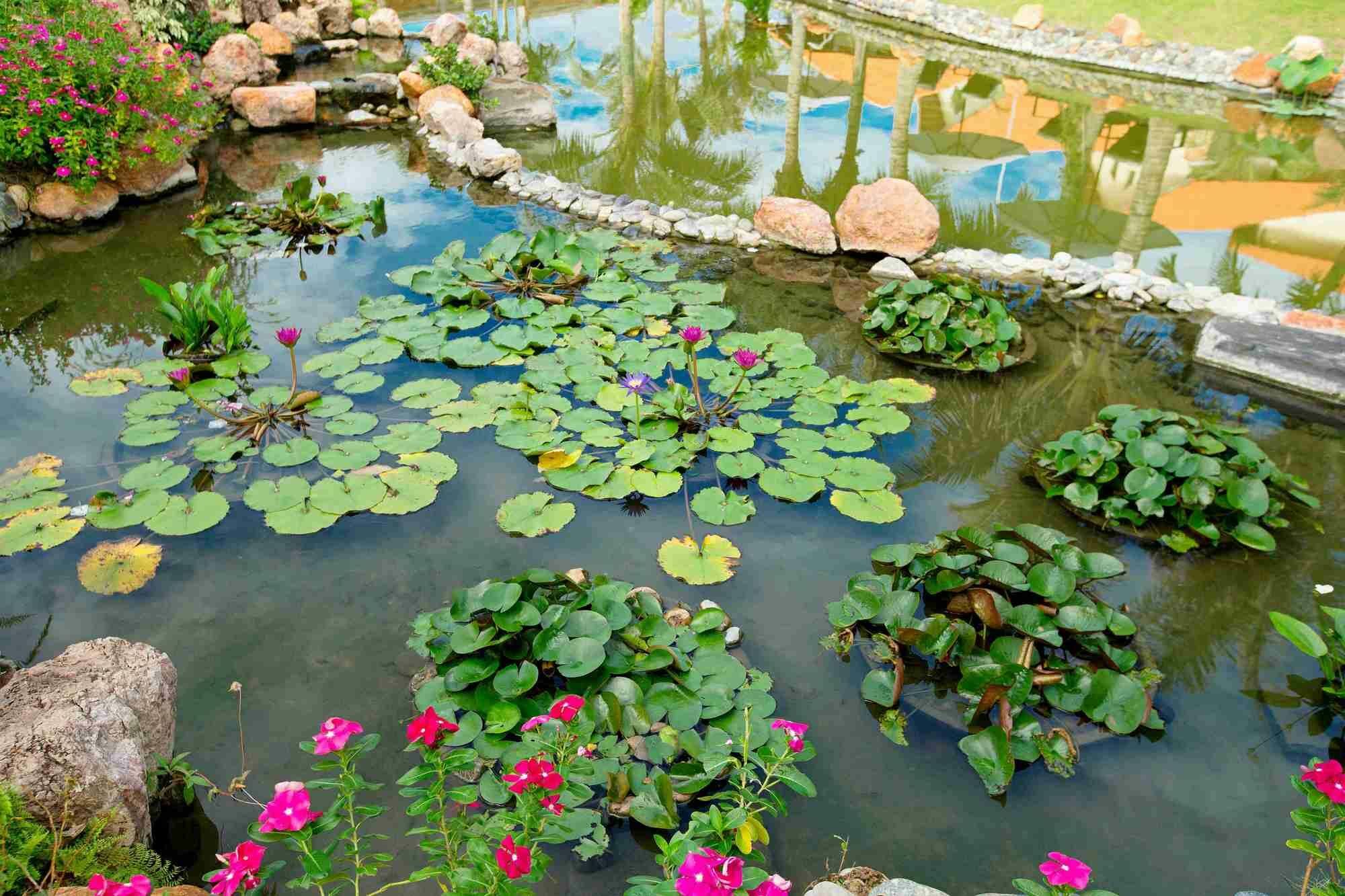 Blue Bay Mui Ne Resort & Spa Phan Thiet Bagian luar foto